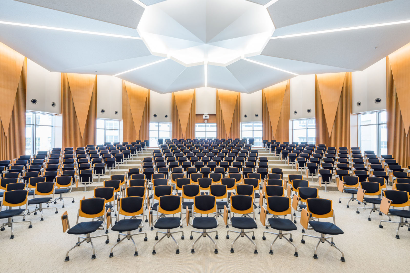 Lecture Theater Seating "PALLE COMPO"